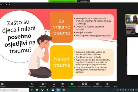 Održano online predavanje prof. dr. sc. Gordane Buljan Flander