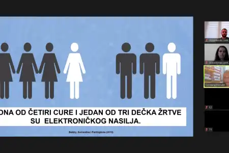 Održano online predavanje prof. dr. sc. Gordane Buljan Flander za srednjoškolce